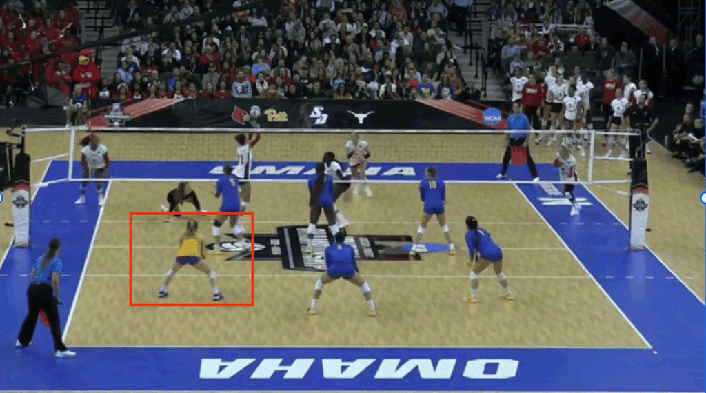 the-libero-in-volleyball-the-most-comprehensive-guide