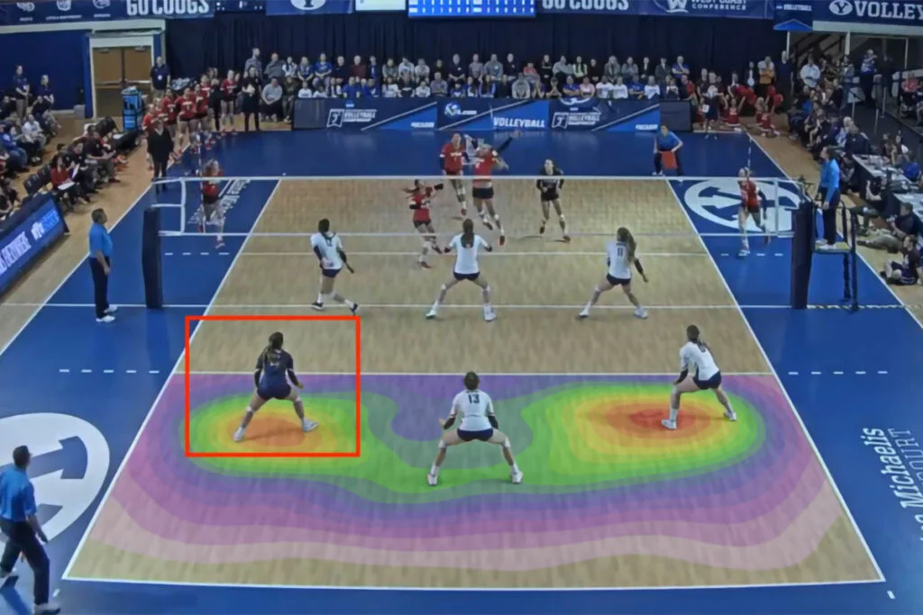 an image of the libero in volleyball 